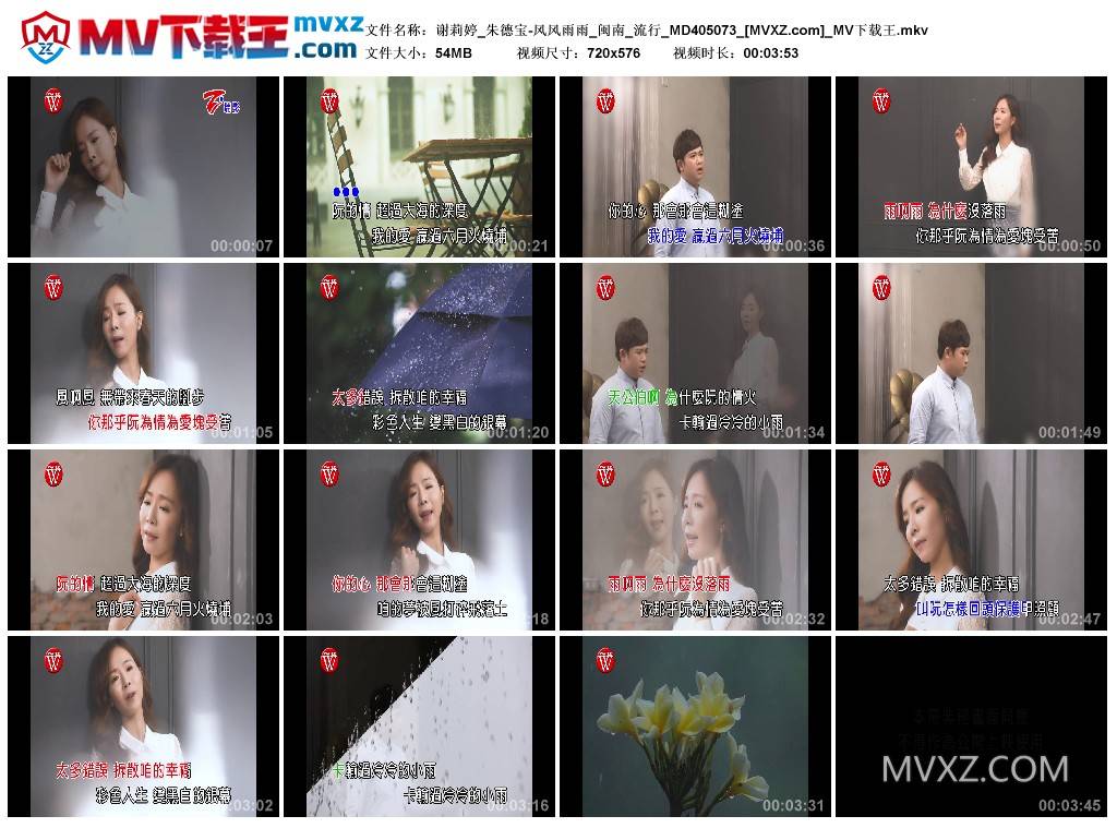 谢莉婷_朱德宝-风风雨雨_闽南_流行_MD405073